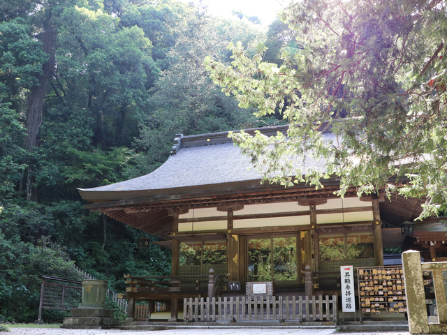 武蔵二宮 金鑚神社の写真