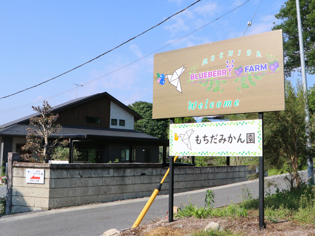 もちだブルーベリー園の写真