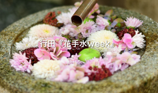 花々に癒される 行田 花手水week 幻想的なライトアップデーも 彩北なび 花々に癒される 行田 花手水week 幻想的なライトアップデーも 彩北なび
