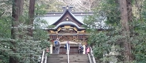 アボカド