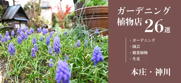 ガーデニング・植物のことなら！埼玉県北部のガーデニング・園芸・観葉植物・生花店26選｜本庄・神川