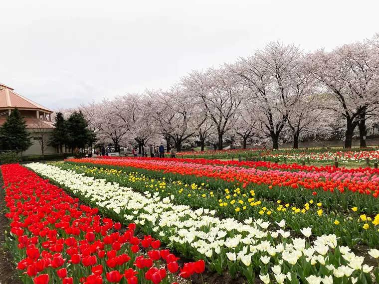 撮影日:2023年3月27日