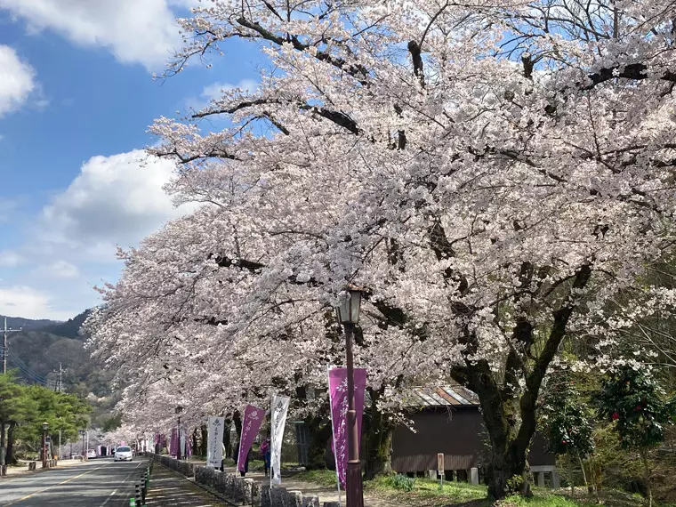 撮影日:2023年3月28日