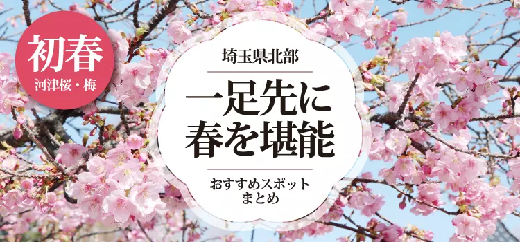 【河津桜 / 梅】春を一足先に楽しめるスポットまとめ【深谷・本庄・熊谷・行田】