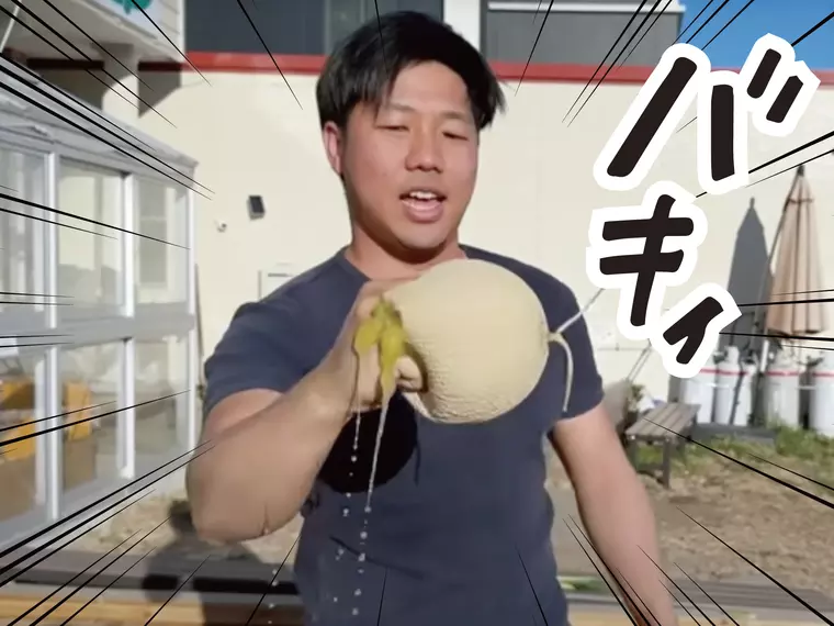 メロンを粉砕する鰐さん