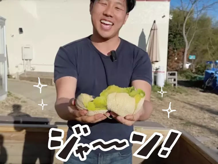 メロンを粉砕して嬉しそうな鰐さん