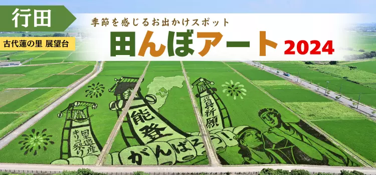 【行田】夏のお出かけ　田んぼアートを見に行こう！【古代蓮の里】