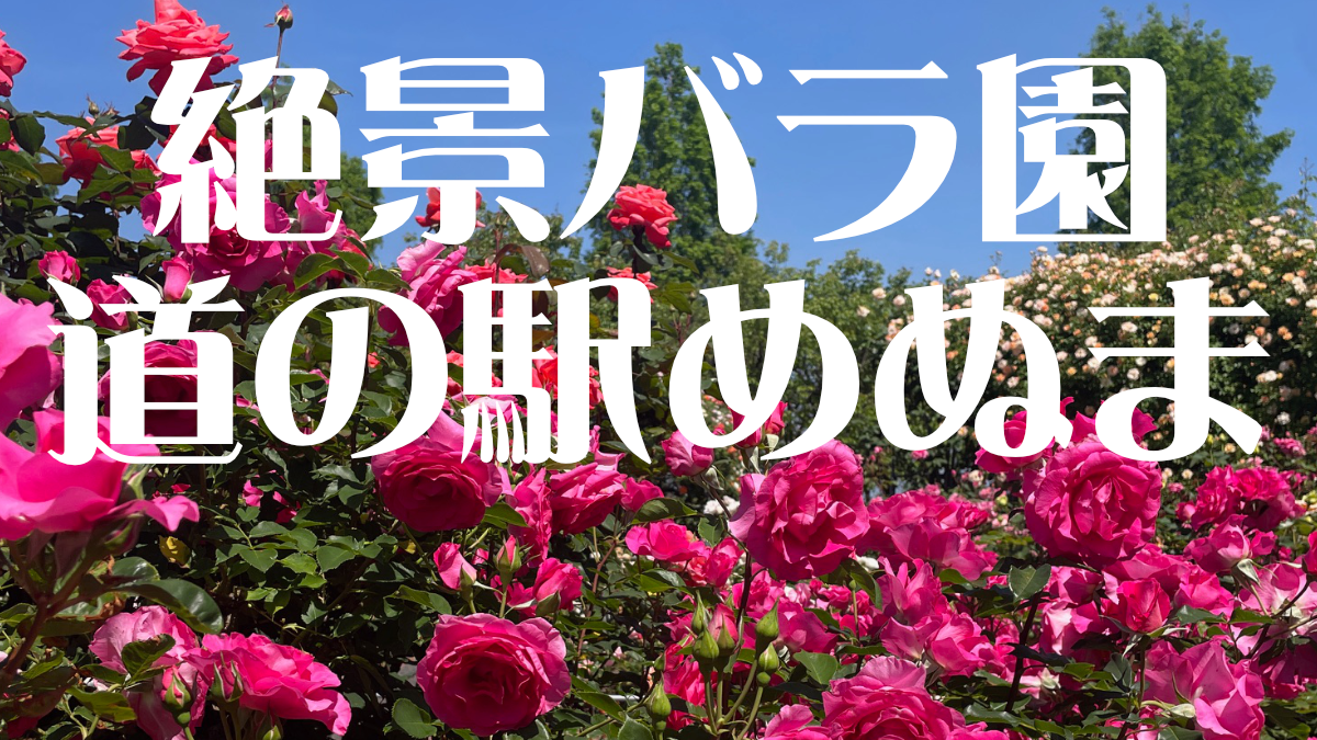 【熊谷・道の駅めぬま】入園無料！？「道の駅めぬま」のバラ園が、SNS映え確定の楽園だった件