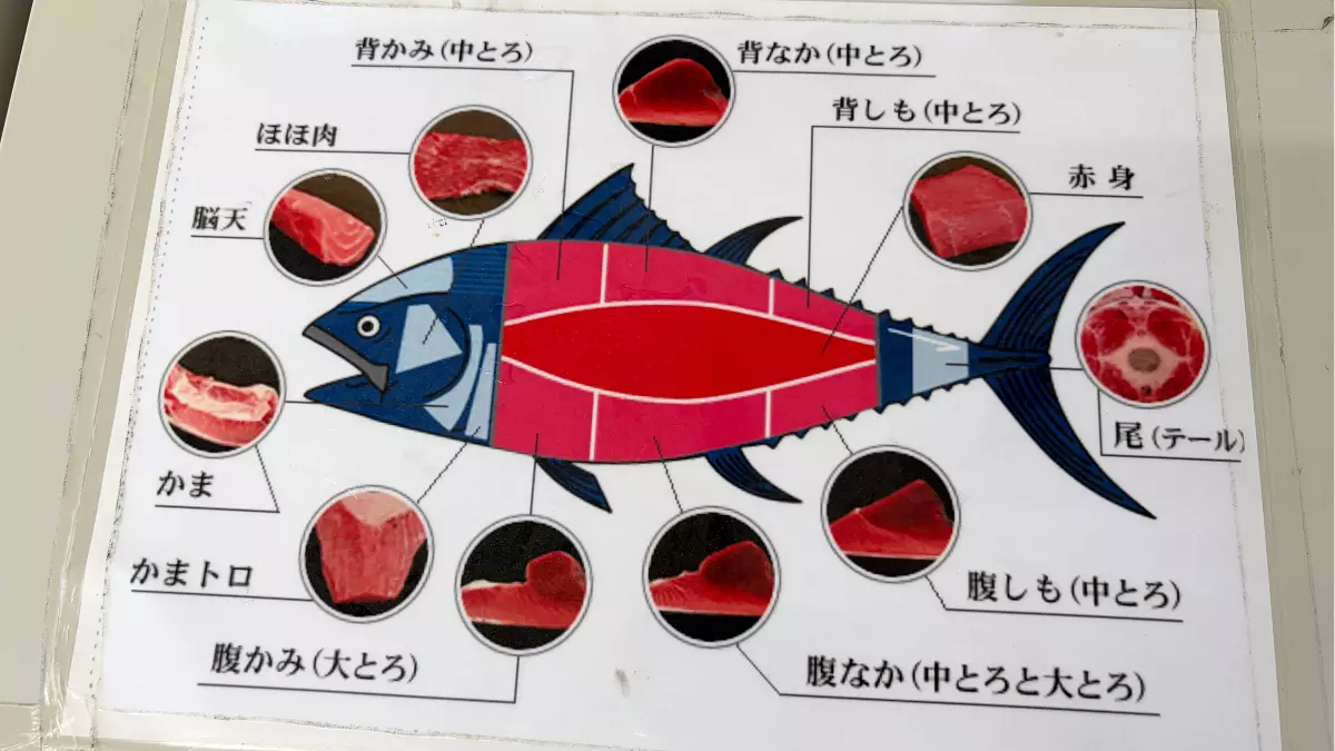 部位ごとのおすすめの食べ方も聞いてみてね。