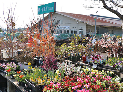 埼玉県花植木流通センター